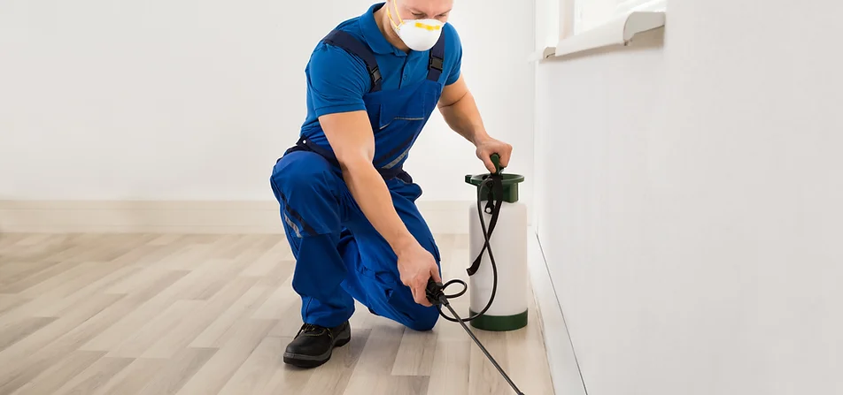 638760_1e921ebb1a3949d9a767c7bb301e9ed9~mv2