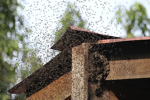 AdobeStock_307263490