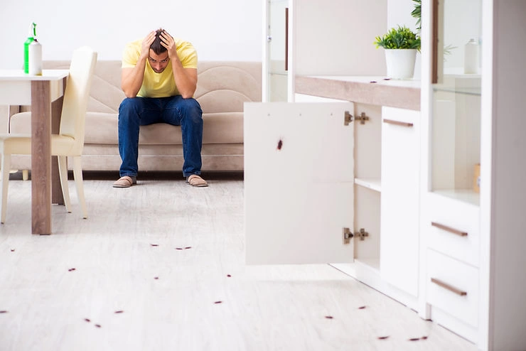 Jeune homme et beaucoup de cafards à la maison