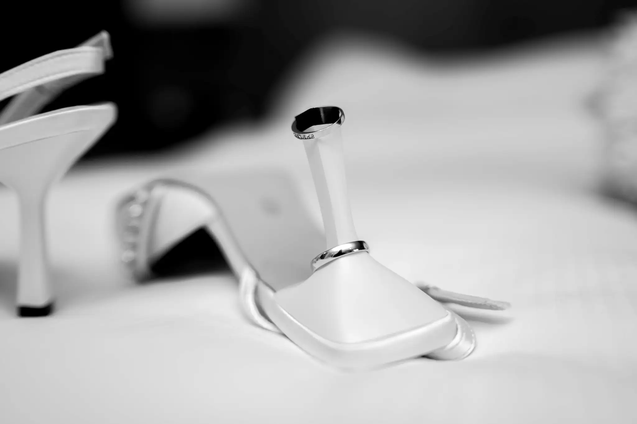 img-compositions-raffinees