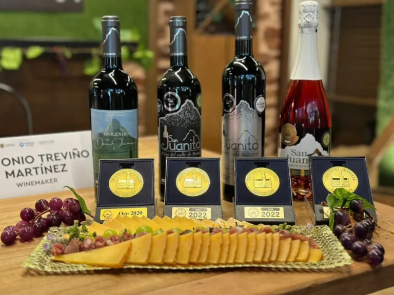 Anuncian la fiesta de la vendimia en Viñedos San Juanito, Querétaro