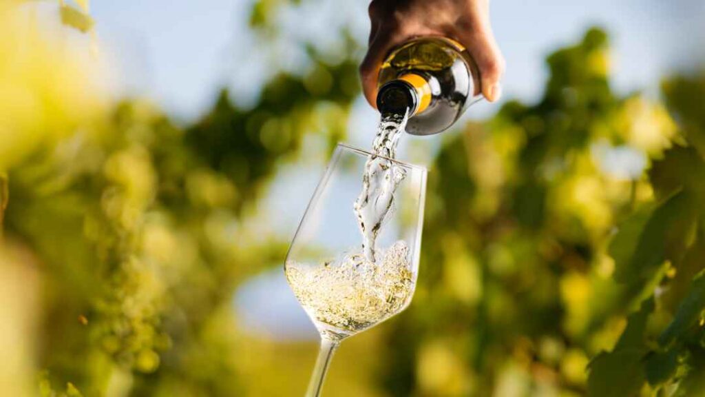 4 tendencias emergentes en degustaciones de vino