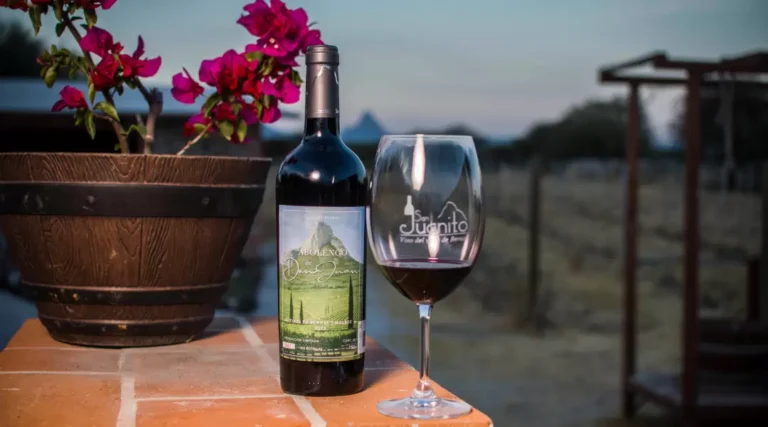 Cultura y Sabor: Una Guía para el Maridaje de Vinos