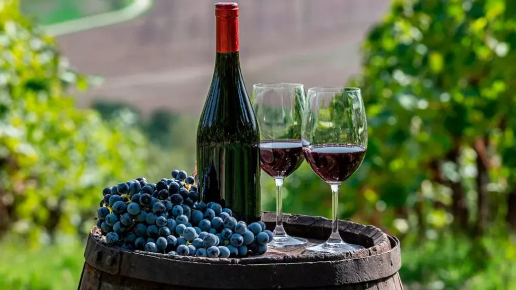 los mejores vinos
