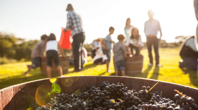 Maridajes Perfectos: Cómo Combinar Comidas con Vinos Dulces