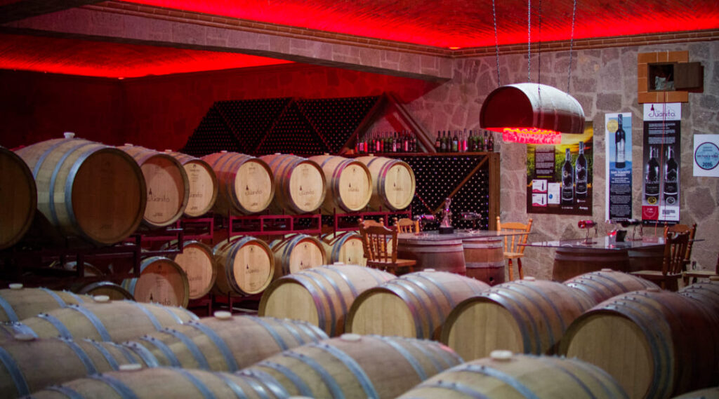 todo lo que necesitas saber sobre la cata de vinos